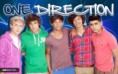 /album/fotogaleria-one-direction-/direction-jpg/