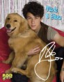 /album/fotogaleria-cantantes-favoritos/perro-jpg1/